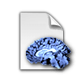Visimap Professional Document Icon